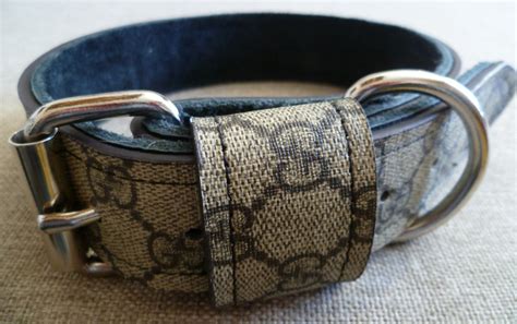 large gucci dog collar